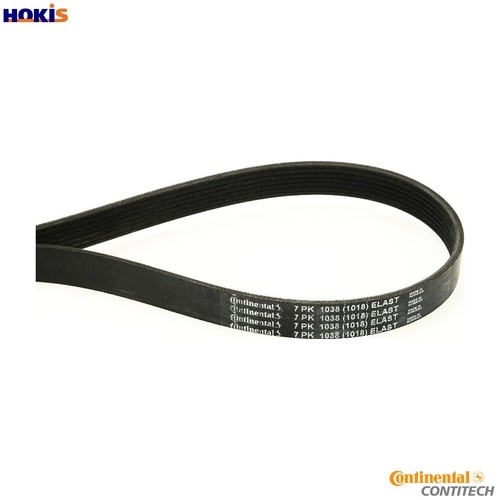 Vribbed belt 7pk1038 elast - vribbed,