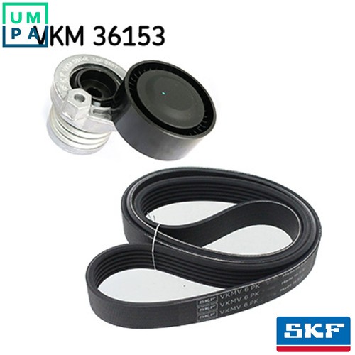 Vribbed belt set - belt,