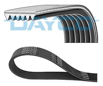 Ribbed belt for - belt,