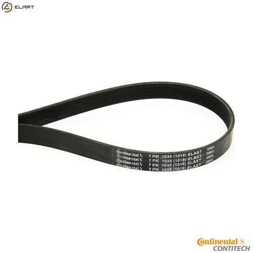Vribbed belt 7pk1038 elast - vribbed,