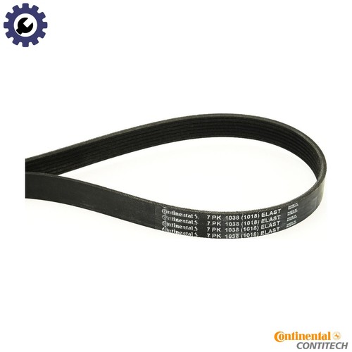 Vribbed belt 7pk1038 - belt, elast
