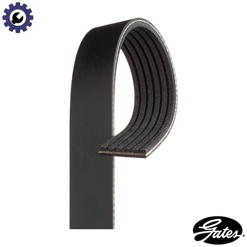 Vribbed belt 6pk1175 - vribbed, dacia