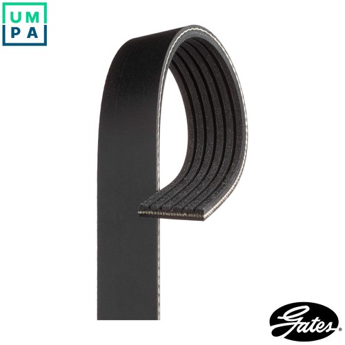 Vribbed belt 6pk1175 - belt, dacia