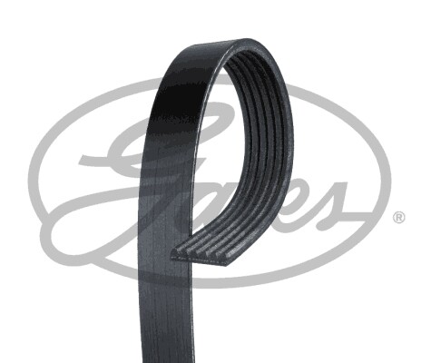 New ribbed belt for - new, v-ribbed