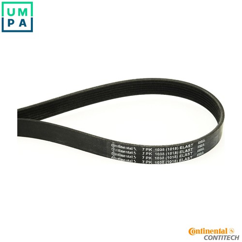 Vribbed belt 7pk1038 elast - belt, for