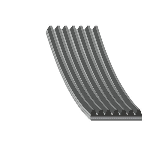 Febi bilstein 177663 ribbed - febi,