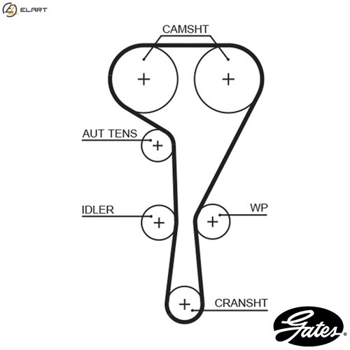 Timing belt 5550xs for - timing,