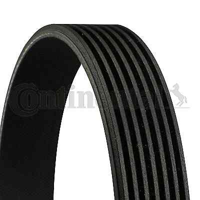 New ribbed belt - new, v-ribbed