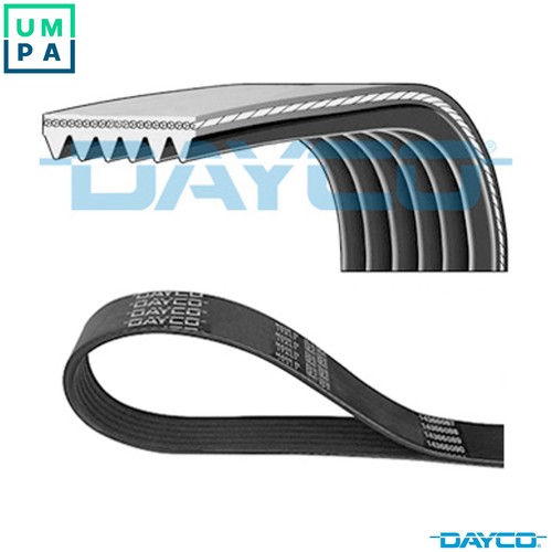 Vribbed belt 6pk1178 - vribbed, for