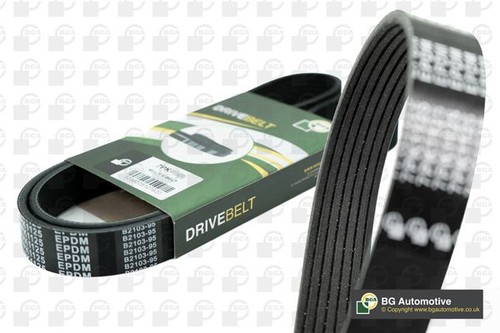 Ribbed belt fits - belt,
