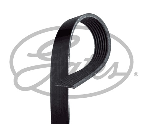New ribbed belt for - v-ribbed, renault